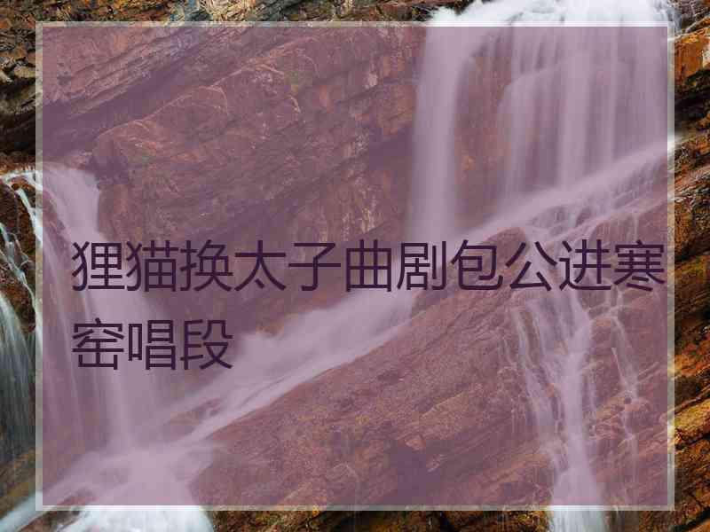 狸猫换太子曲剧包公进寒窑唱段
