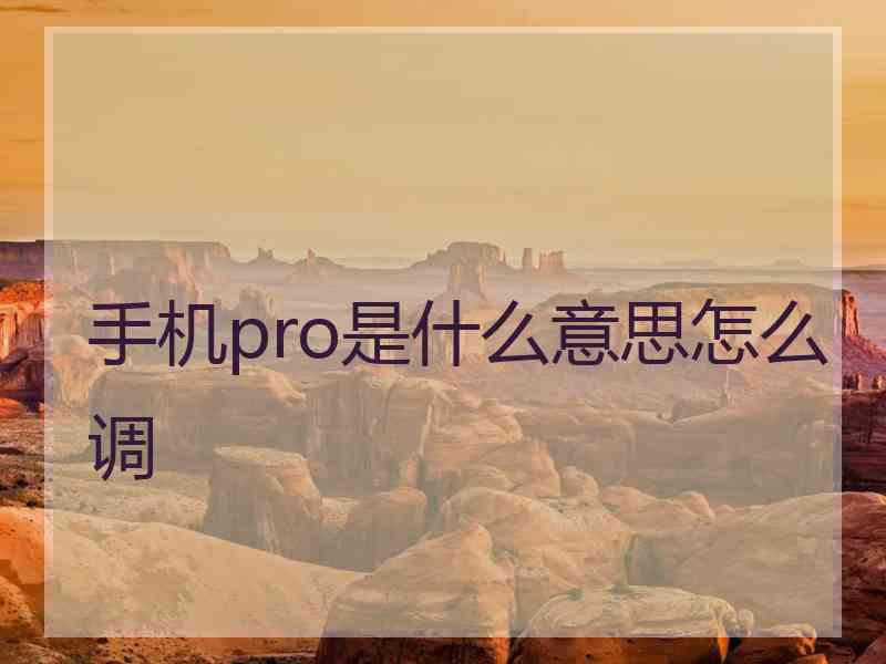 手机pro是什么意思怎么调