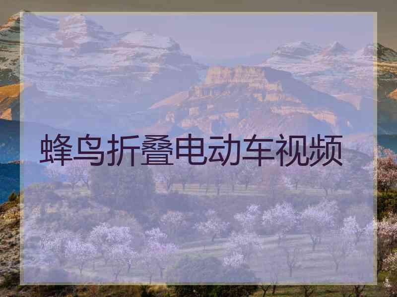 蜂鸟折叠电动车视频