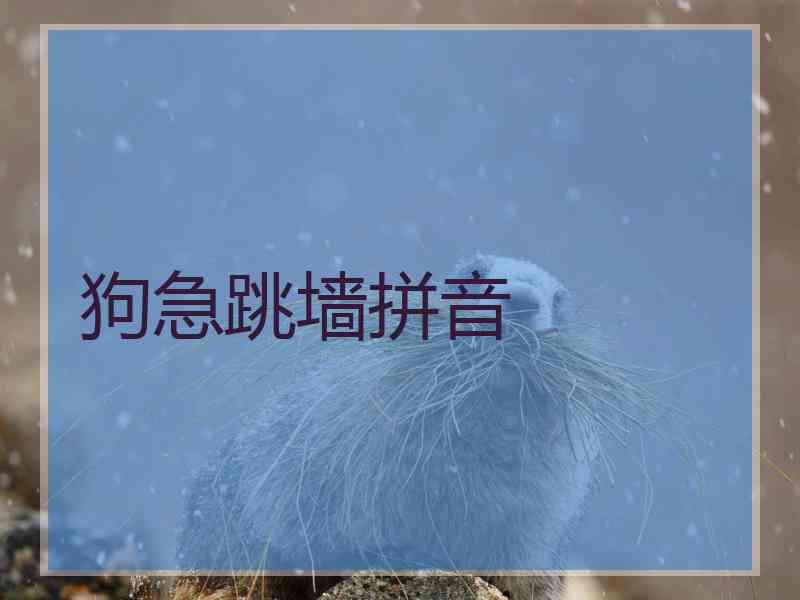 狗急跳墙拼音