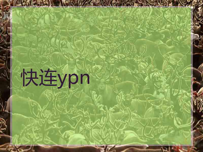 快连ypn