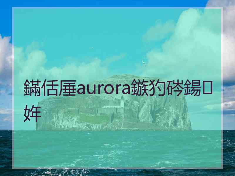 鏋佸厜aurora鏃犳硶鍚姩