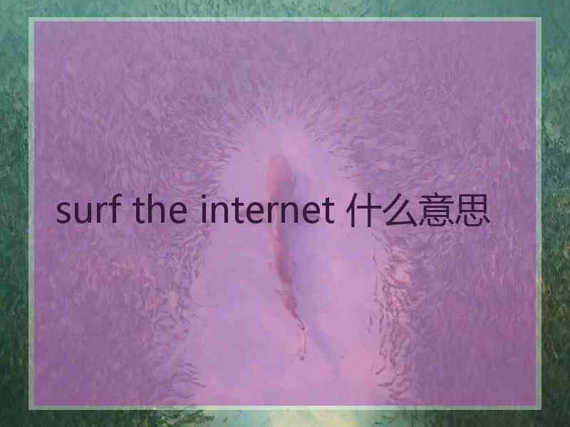 surf the internet 什么意思