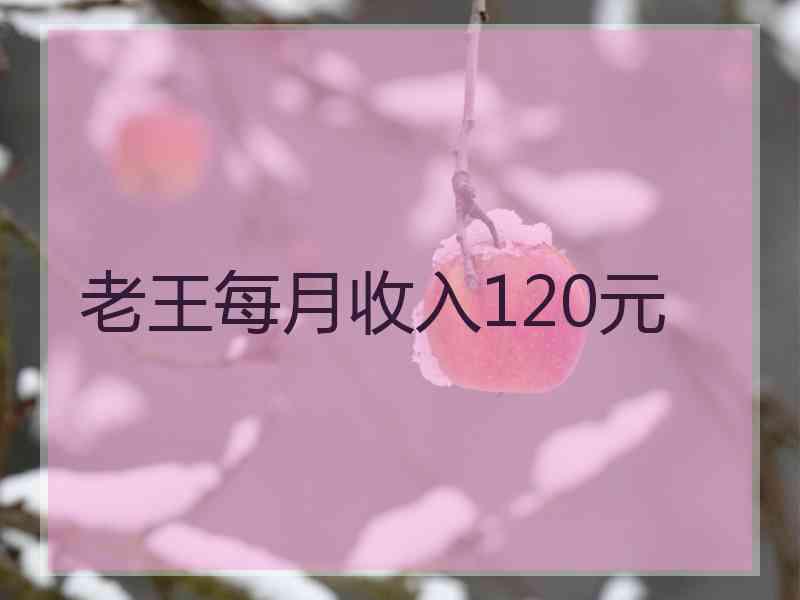 老王每月收入120元
