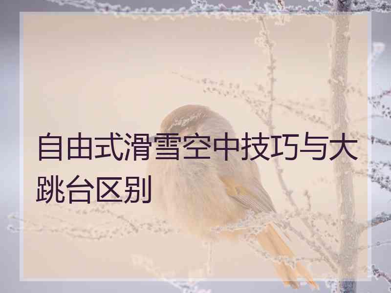 自由式滑雪空中技巧与大跳台区别