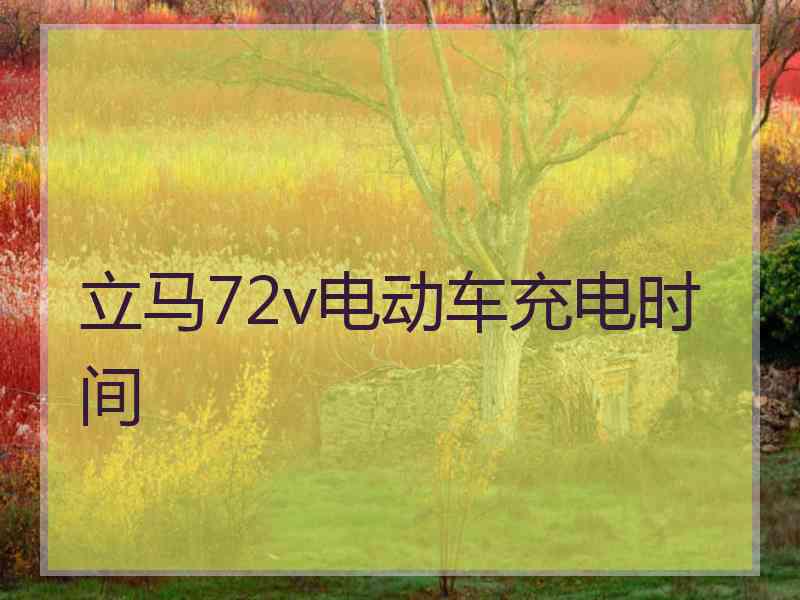 立马72v电动车充电时间