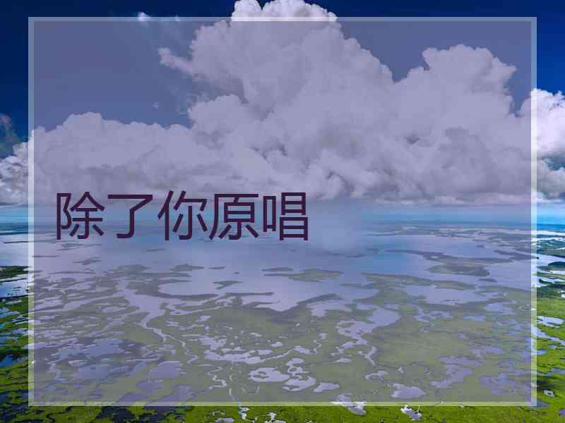 除了你原唱