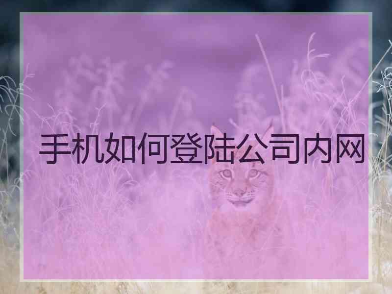 手机如何登陆公司内网