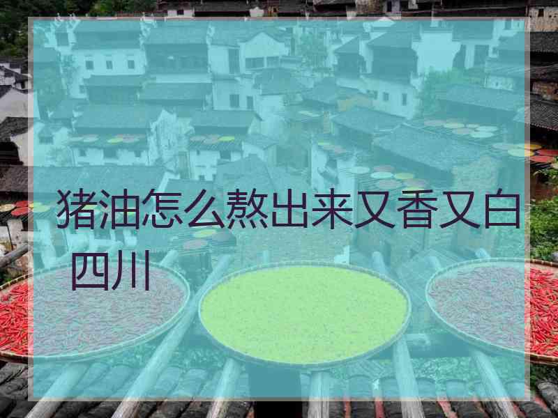 猪油怎么熬出来又香又白 四川