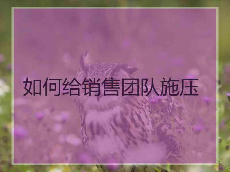 如何给销售团队施压