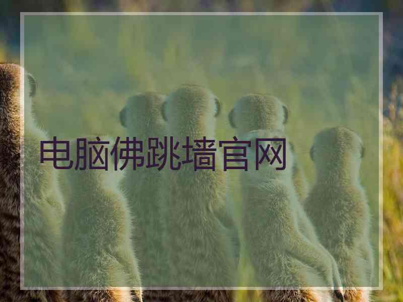 电脑佛跳墙官网