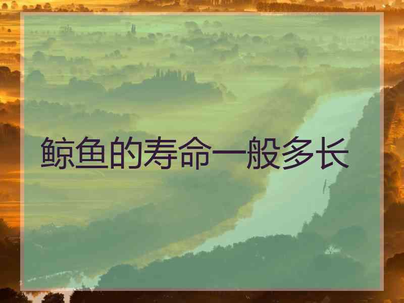 鲸鱼的寿命一般多长