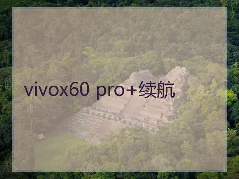 vivox60 pro+续航