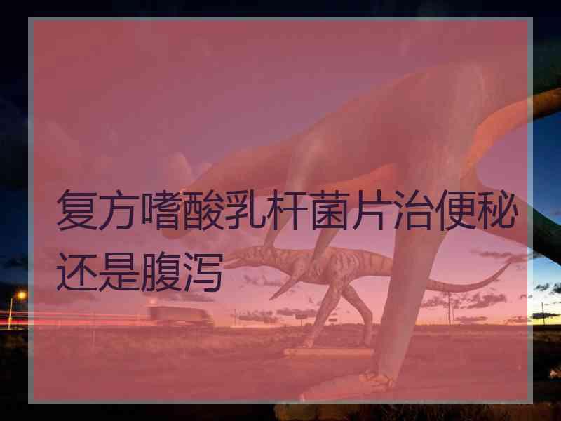 复方嗜酸乳杆菌片治便秘还是腹泻