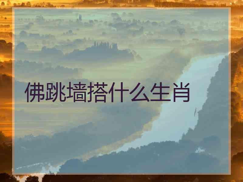 佛跳墙搭什么生肖