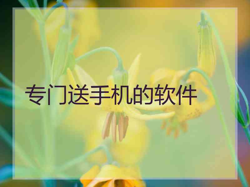 专门送手机的软件