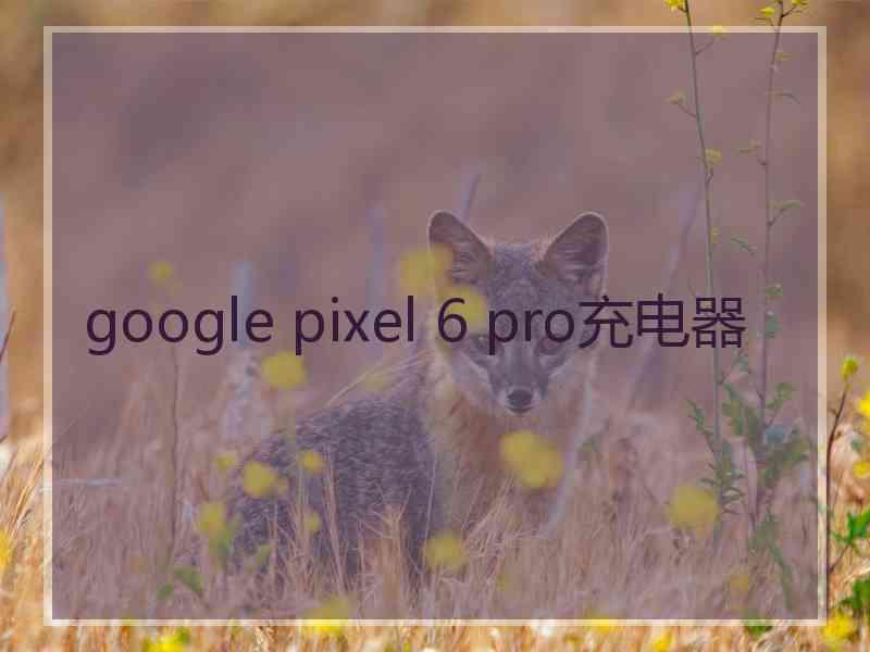 google pixel 6 pro充电器