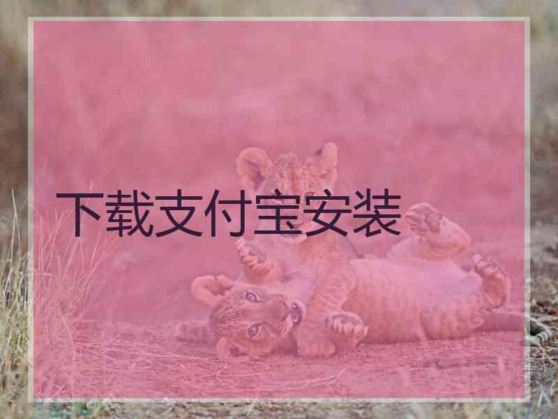 下载支付宝安装