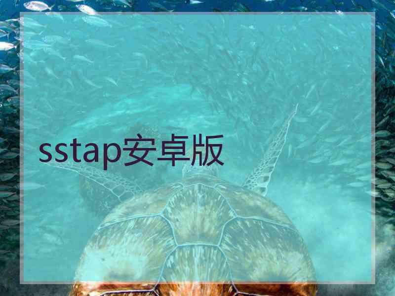 sstap安卓版