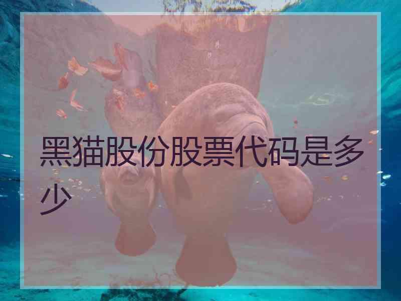 黑猫股份股票代码是多少