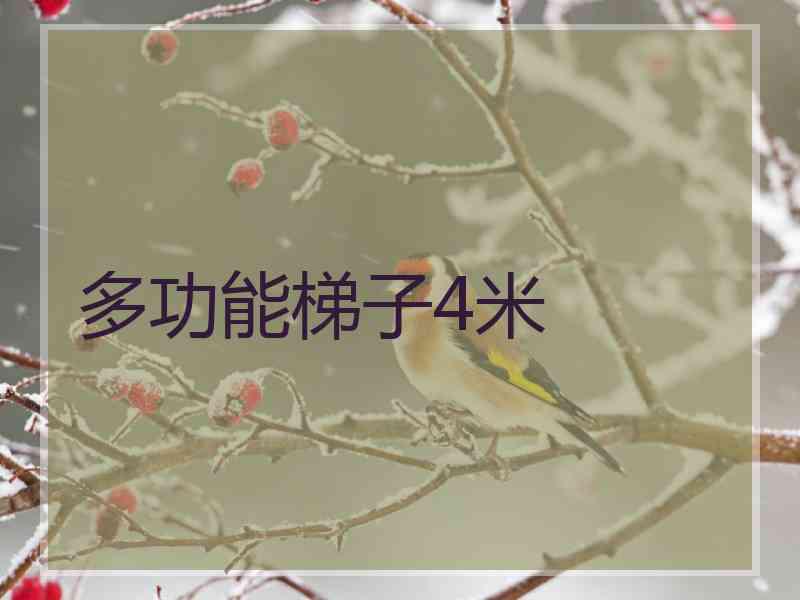 多功能梯子4米