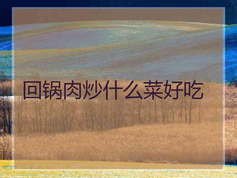 回锅肉炒什么菜好吃