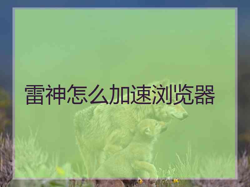 雷神怎么加速浏览器
