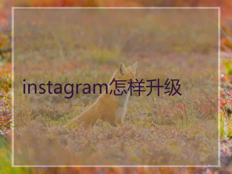 instagram怎样升级