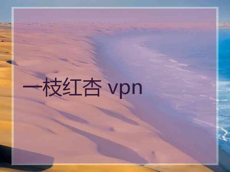 一枝红杏 vpn