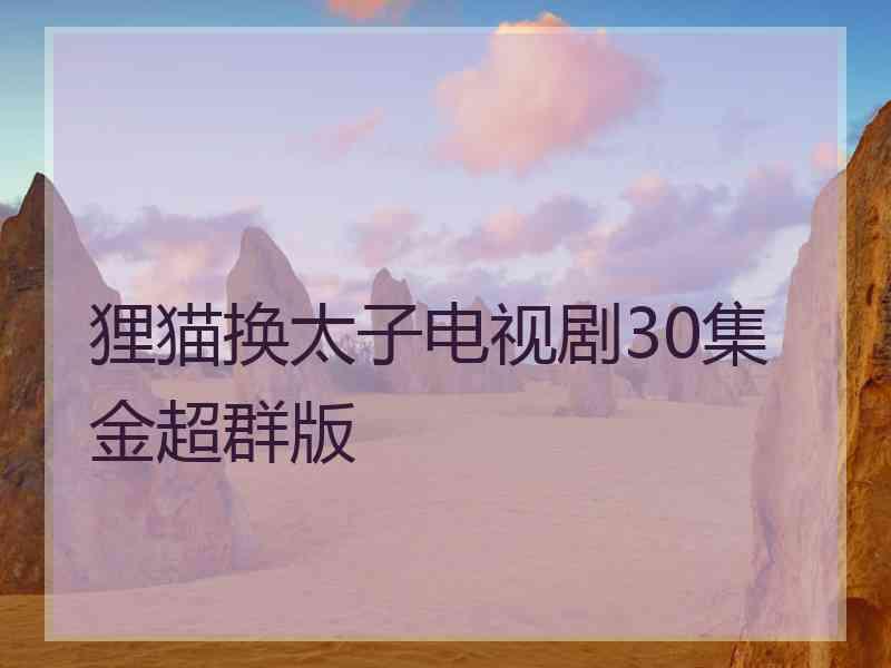 狸猫换太子电视剧30集金超群版
