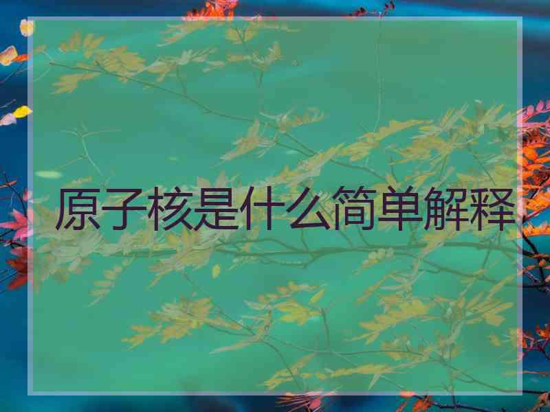 原子核是什么简单解释