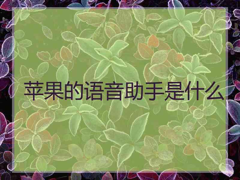 苹果的语音助手是什么