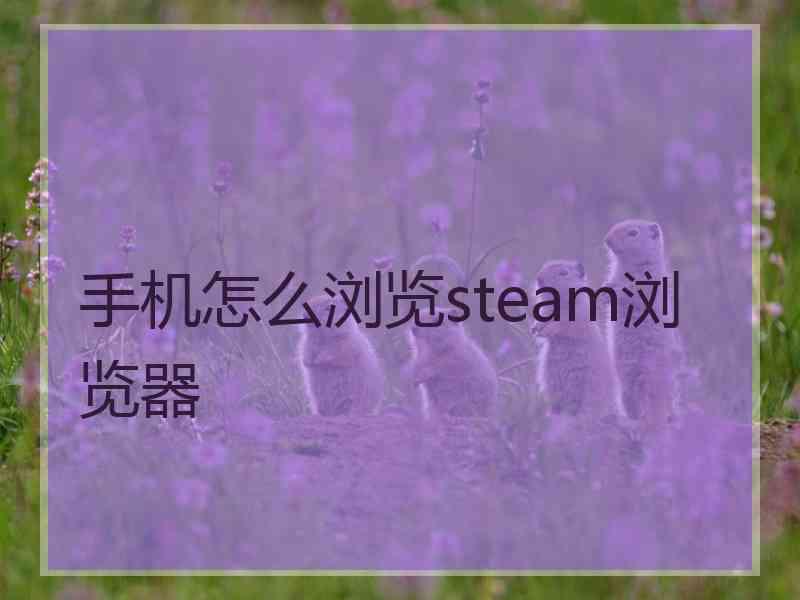 手机怎么浏览steam浏览器
