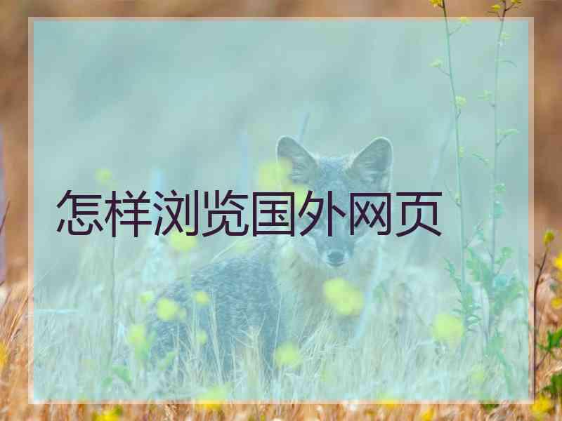 怎样浏览国外网页