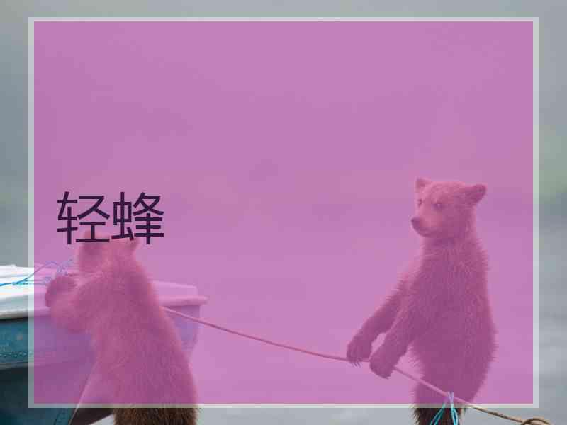 轻蜂