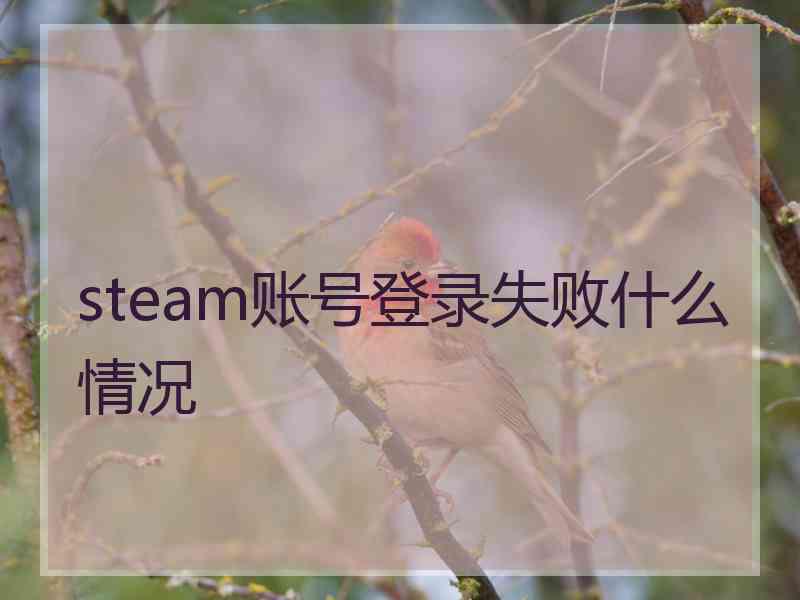 steam账号登录失败什么情况