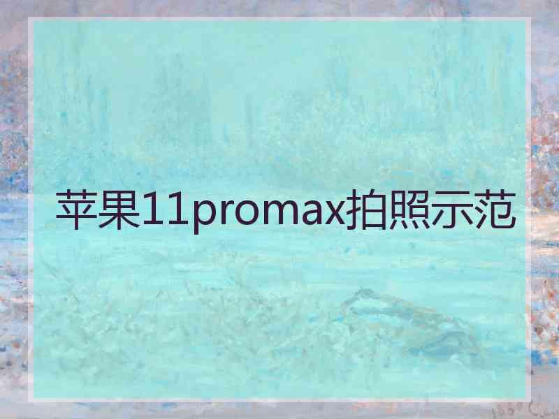 苹果11promax拍照示范