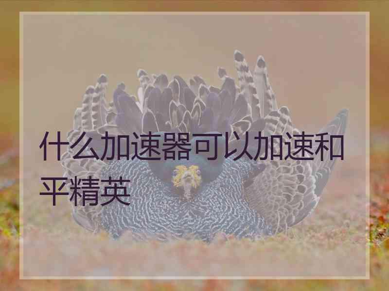 什么加速器可以加速和平精英
