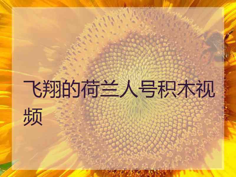 飞翔的荷兰人号积木视频