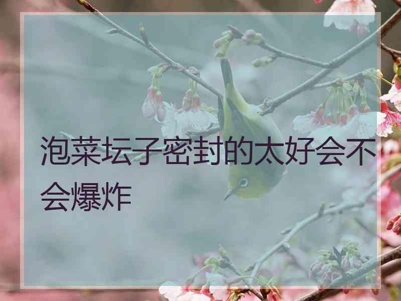泡菜坛子密封的太好会不会爆炸