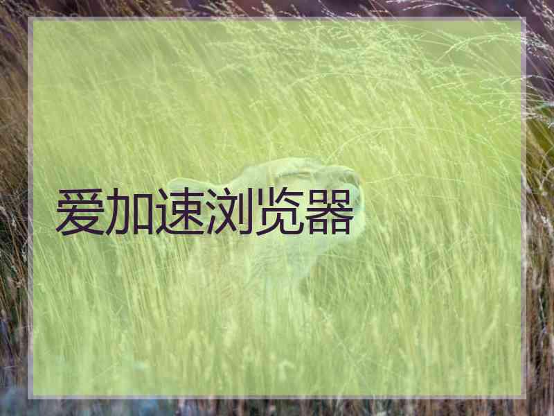 爱加速浏览器