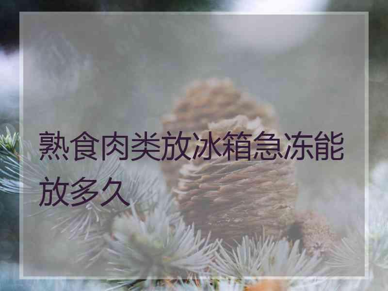 熟食肉类放冰箱急冻能放多久