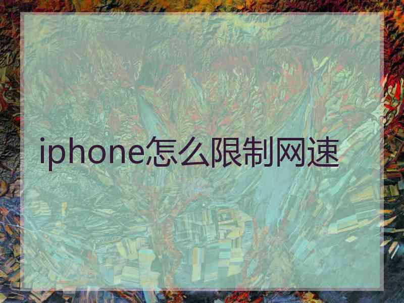iphone怎么限制网速