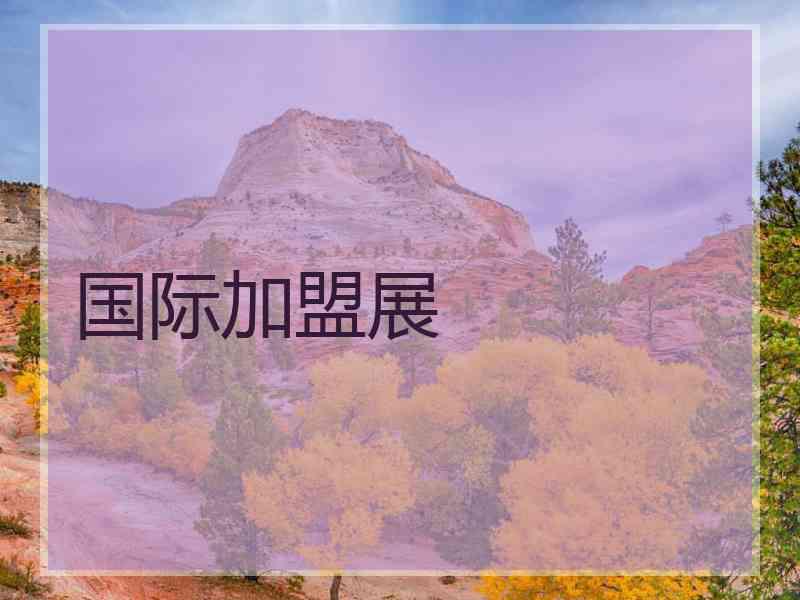 国际加盟展