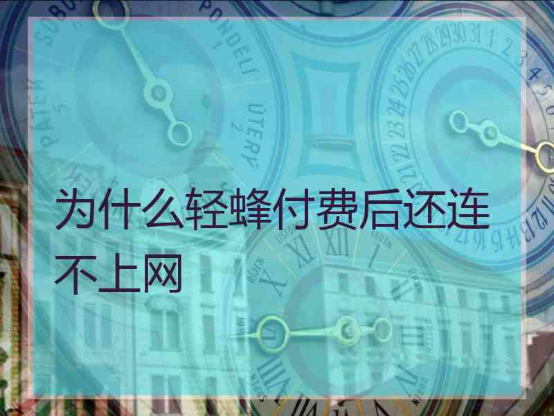 为什么轻蜂付费后还连不上网