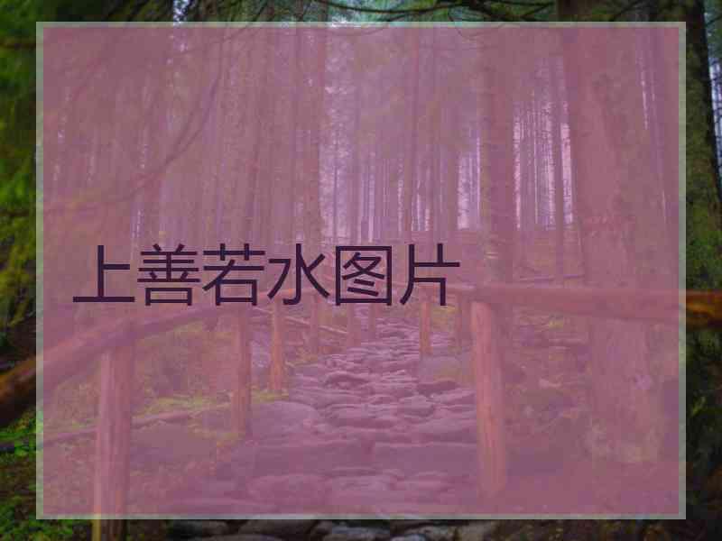 上善若水图片