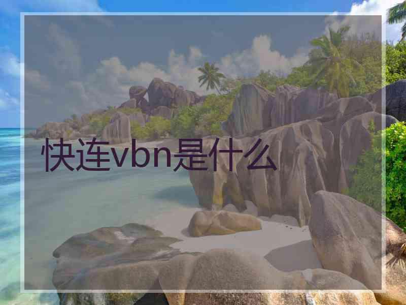 快连vbn是什么