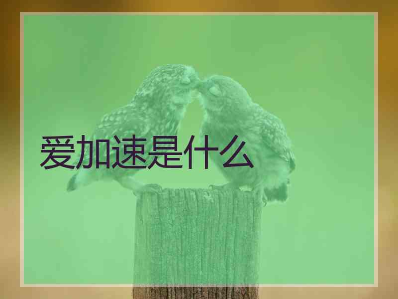 爱加速是什么