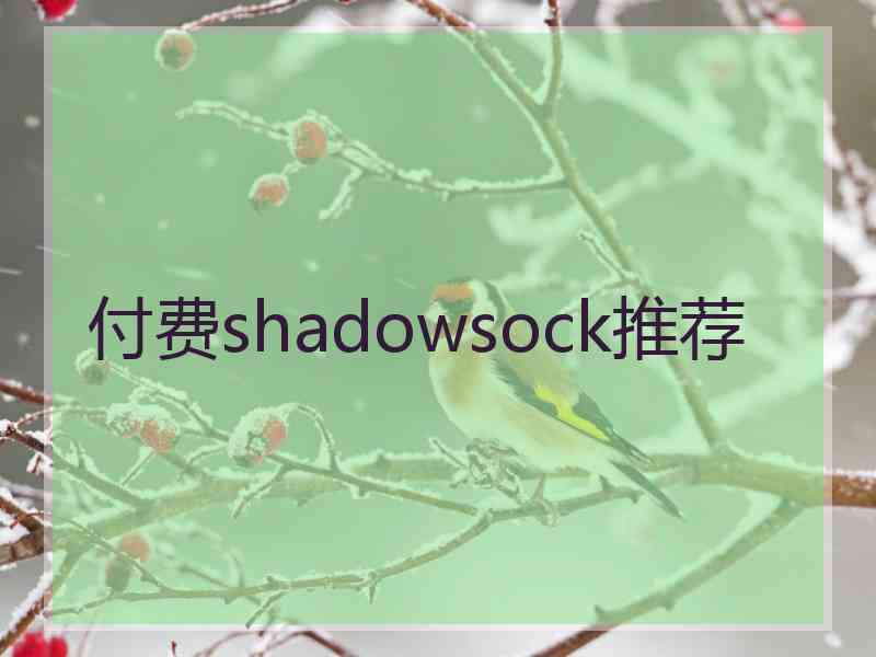 付费shadowsock推荐