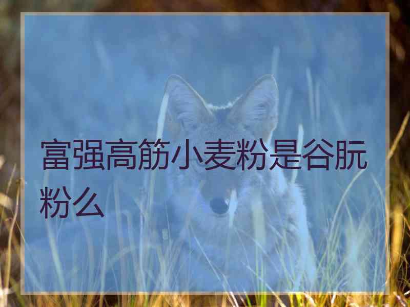 富强高筋小麦粉是谷朊粉么